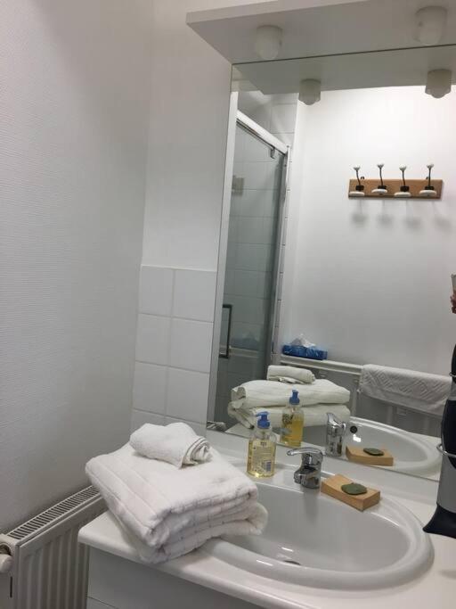 Bel Appartement Climatise Plein Centre Ville بواتييه المظهر الخارجي الصورة